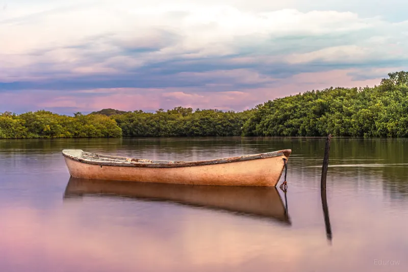 Calma en el estero