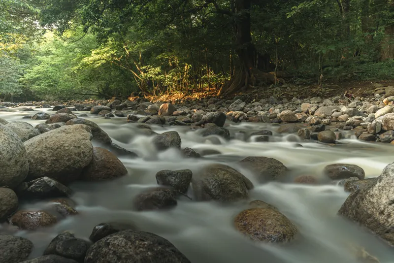 Río entre rocas
